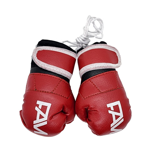 FAM Mini Boxing Gloves
