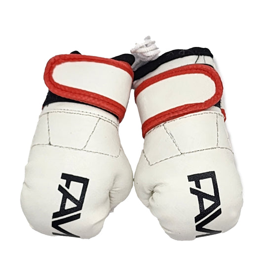 FAM Mini Boxing Gloves