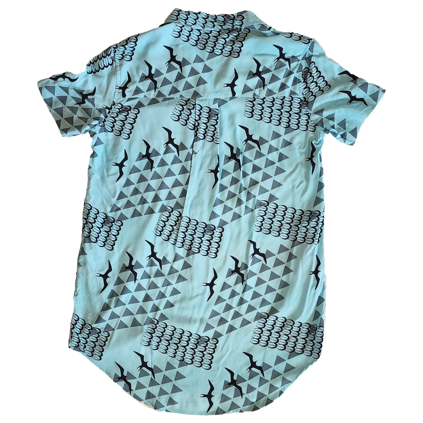 Baby Blue Iwa Dress Shirt